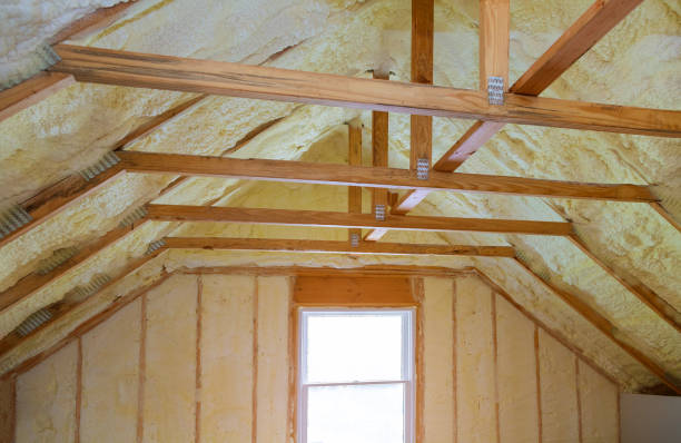Best Energy Efficiency Solutions in Carrboro, NC
